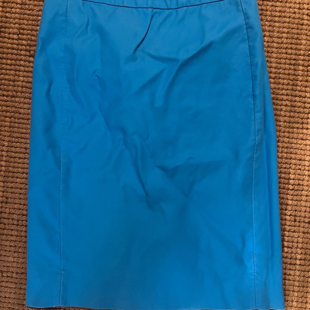 Blue Women's Skirt
